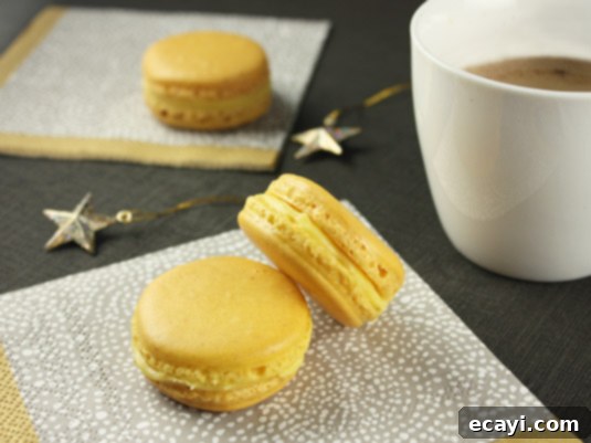Zesty Ginger Yuzu Macarons 1 featured 3446