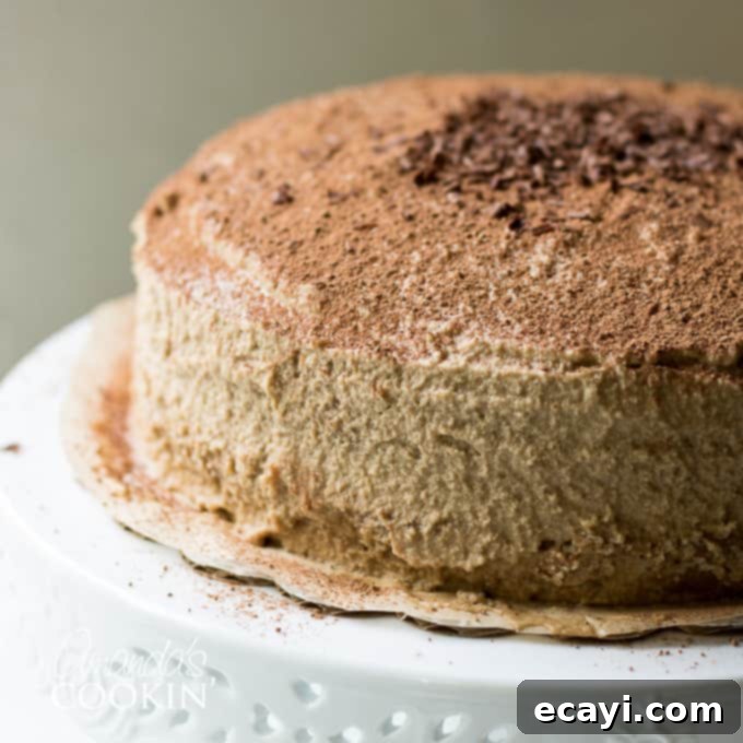 Decadent Tiramisu 1 featured 3455