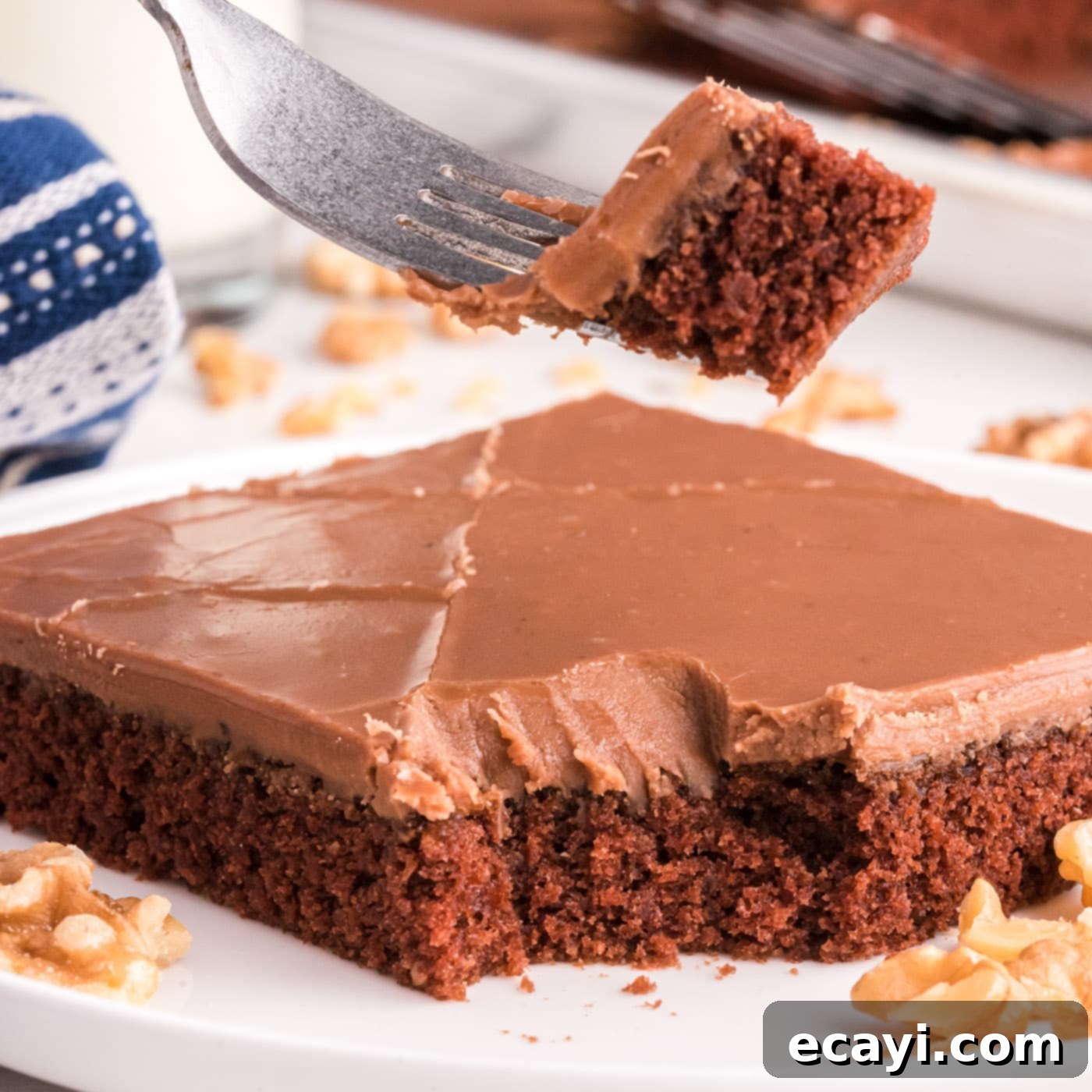 Texas-Sized Chocolate Dream 1 featured 3526