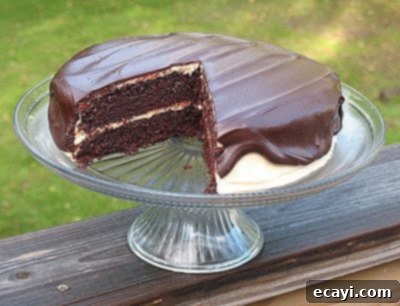 Double Peanut Butter Chocolate Cake 1 featured 3563