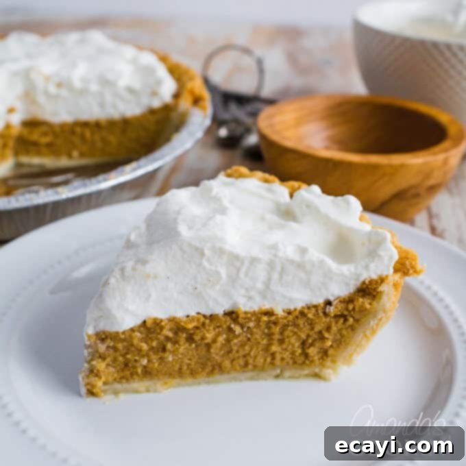 Classic Pumpkin Pie Perfection 1 featured 3587