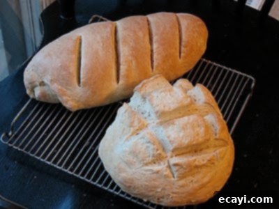Whip Up Homemade Bread in One Hour 1 featured 3591