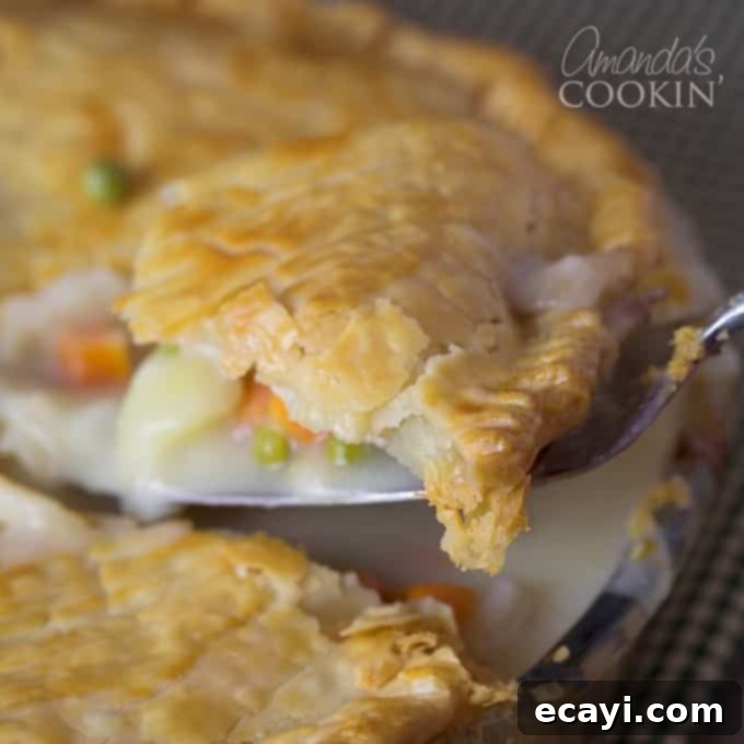 Homestyle Chicken and Turkey Pot Pie 1 featured 3599