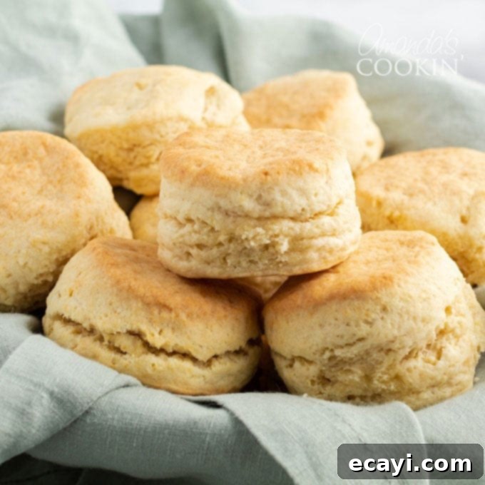 Golden Fluffy Biscuits 1 featured 3654