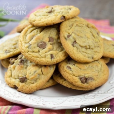 Cinnamon Kissed Chocolate Chip Cookies 1 featured 3661