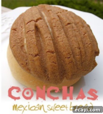 Conchas: Mexican Sweet Bread Delight 1 featured 3665