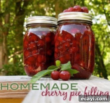 The Best Homemade Cherry Pie Filling 1 featured 3676
