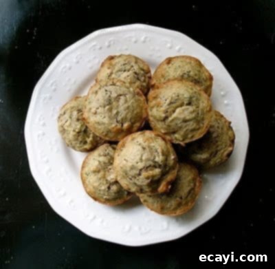 Vanilla-Kissed Zucchini Muffins 1 featured 3677