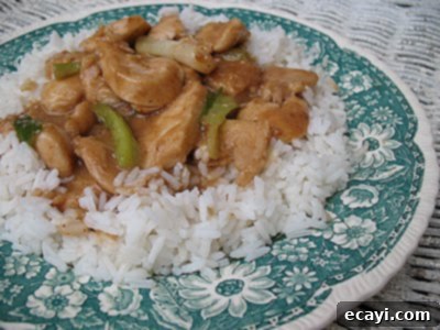 Easy Chicken and Scallion Stir-Fry 1 featured 3687
