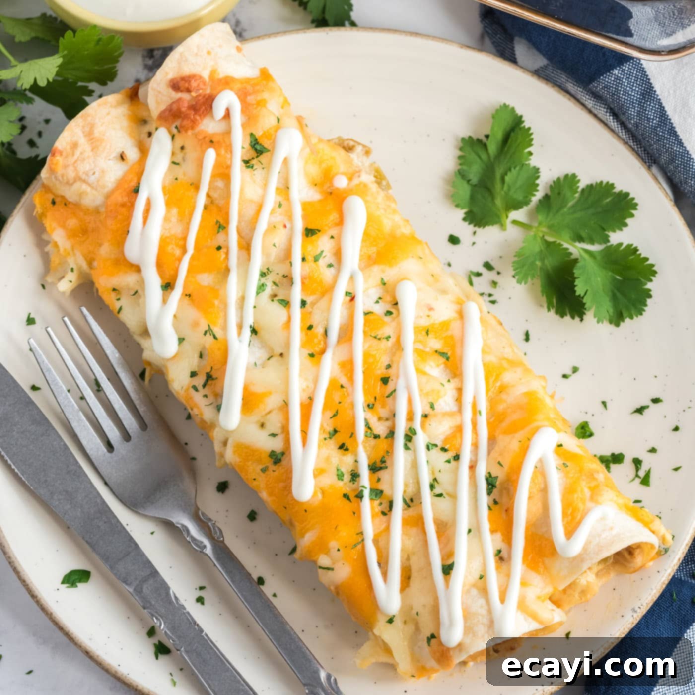 Zesty Chicken Chile Enchiladas 1 featured 3717