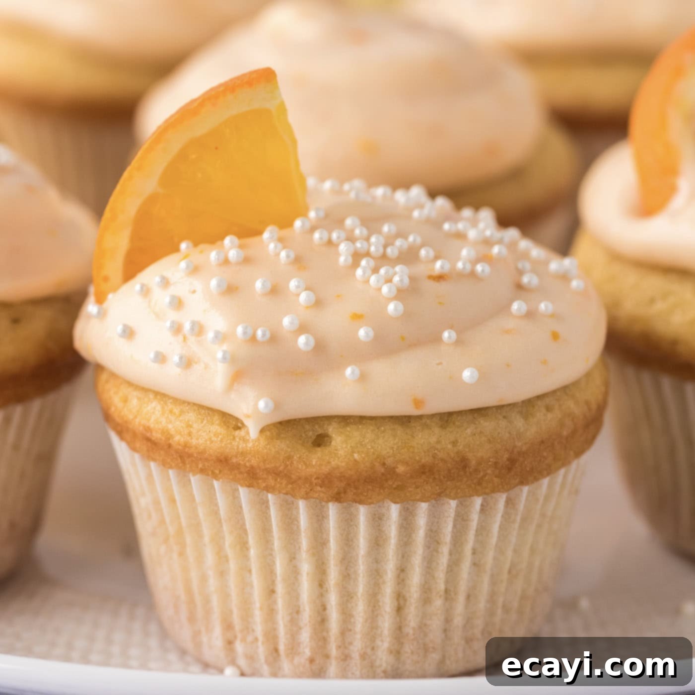 Orange Dream Swirl Cupcakes 1 featured 3740