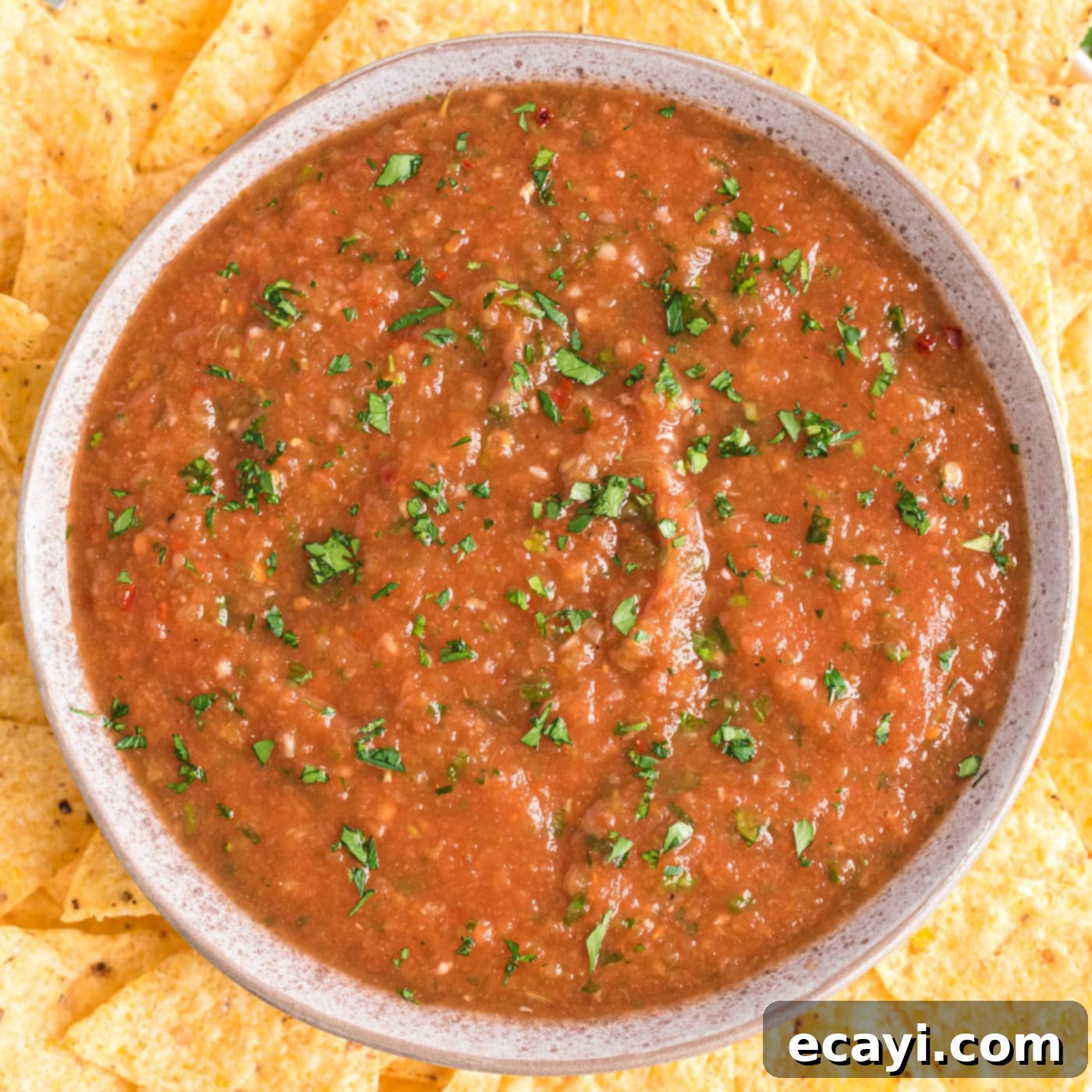 Perfect Restaurant Salsa 1 featured 3743
