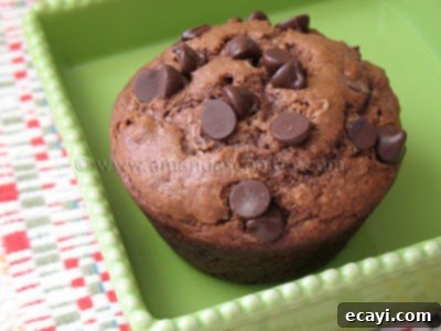 Decadent Double Chocolate Muffins 1 featured 3759