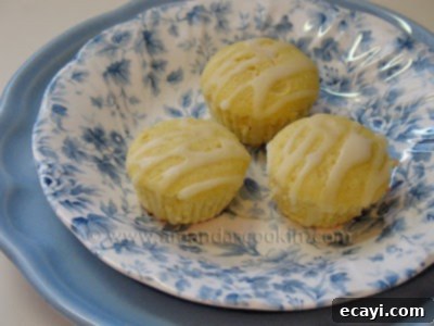 Zesty German Mini Lemon Cakes 1 featured 3768