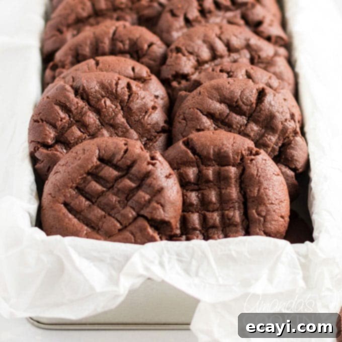 The Ultimate Chocolate Peanut Butter Cookies 1 featured 3788