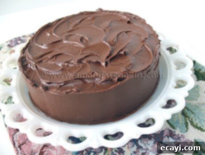 Grandmothers Classic Chocolate Cake 1 featured 3795