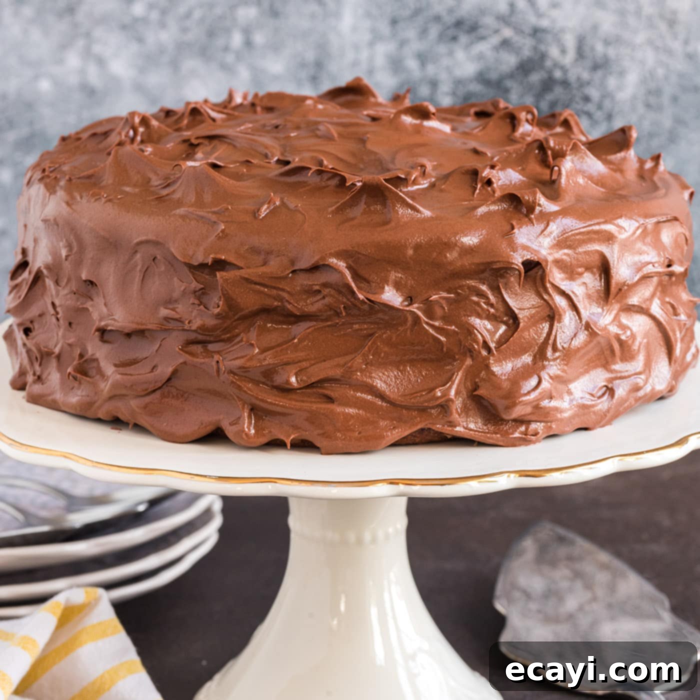 Decadent Chocolate Fudge Delight 1 featured 3813