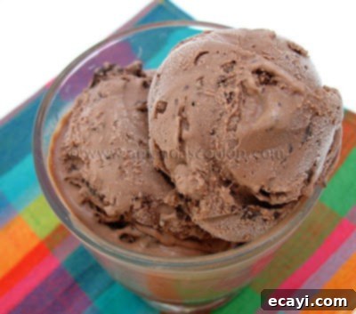 Decadent Double Chocolate Dream 1 featured 3818