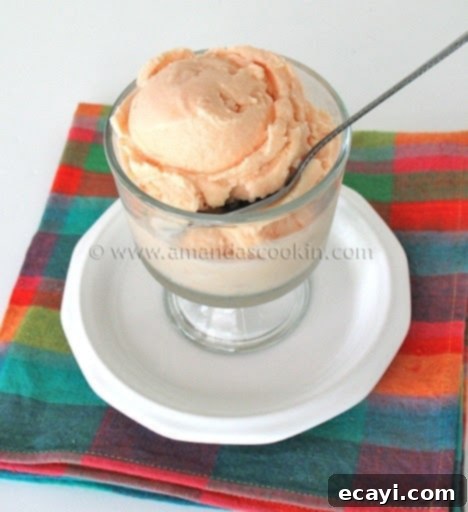 Creamy Orange Bliss 1 featured 3819
