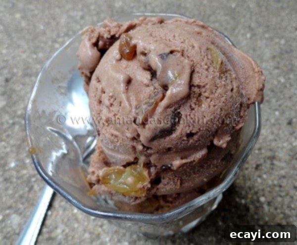 Luscious Chocolate Rum Raisin Bliss 1 featured 3827