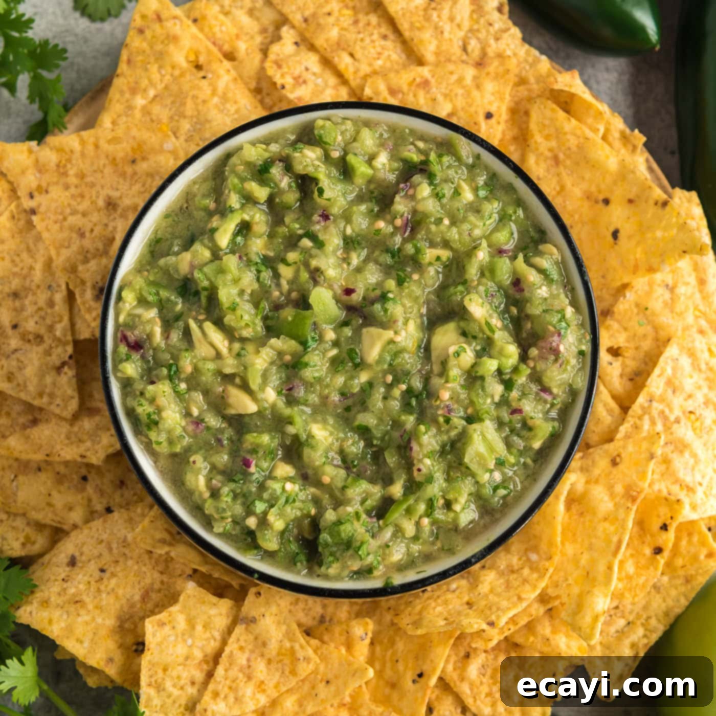 Vibrant Tomatillo Avocado Onion Salsa 1 featured 3828