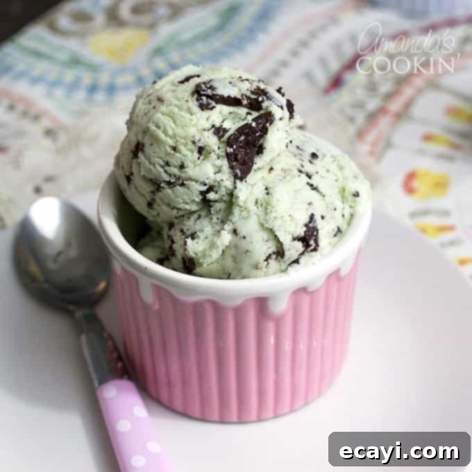 Creamy Homemade Mint Chocolate Chip Delight 1 featured 3836