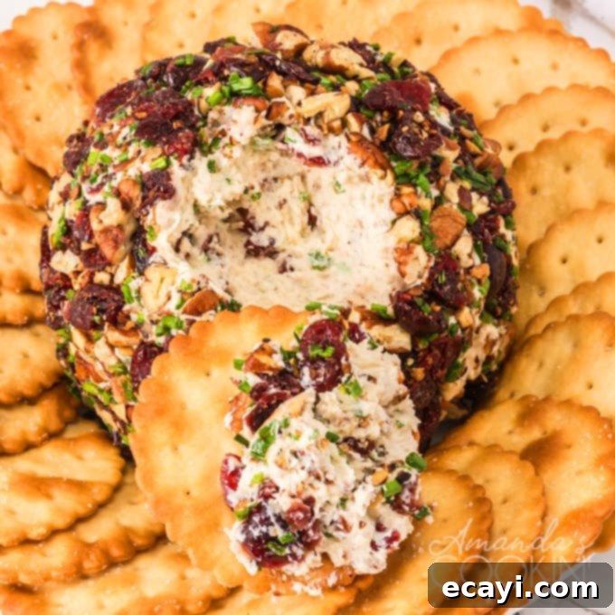 Festive Cranberry Cheese Ball 1 featured 38884