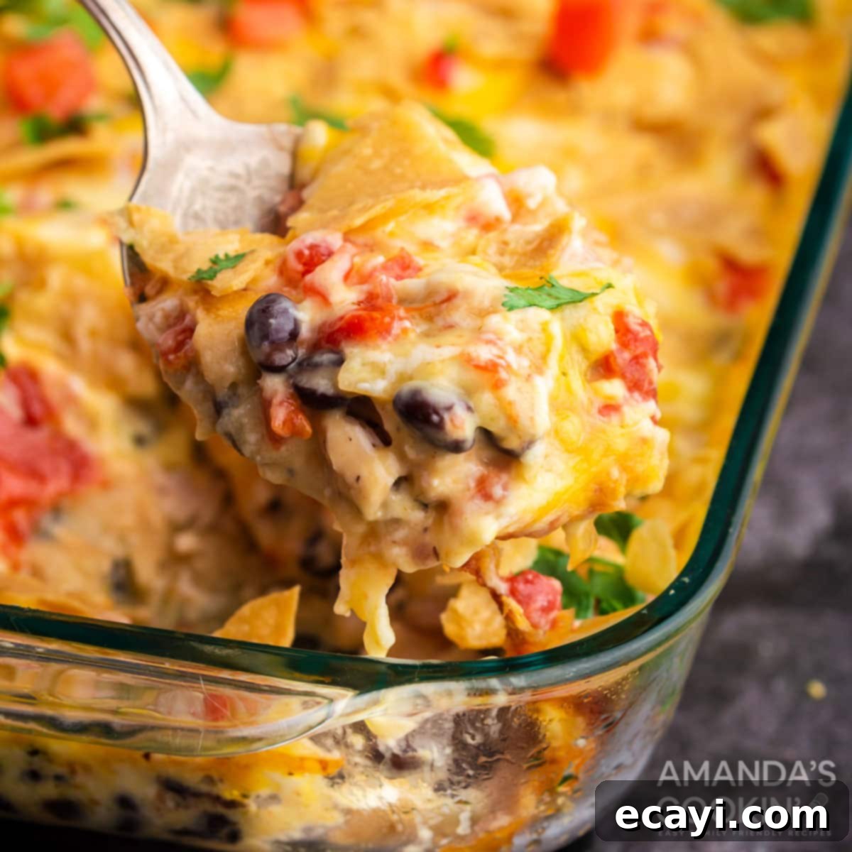 Fiesta Chicken Bake 1 featured 46097
