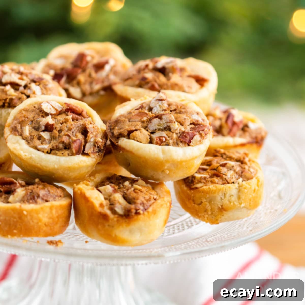 Bite-Sized Pecan Delights 1 featured 46228