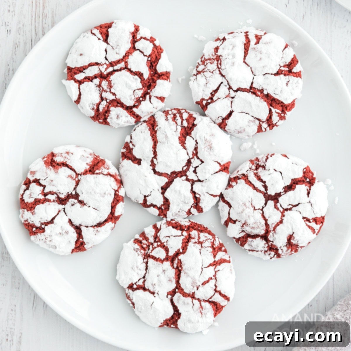 Velvet Crimson Crinkles 1 featured 46941