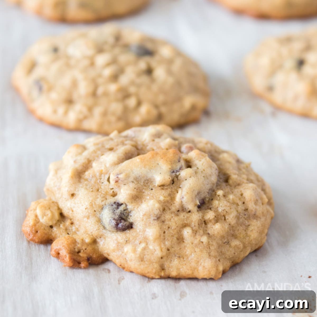 Chewy Oat Delights 1 featured 47496