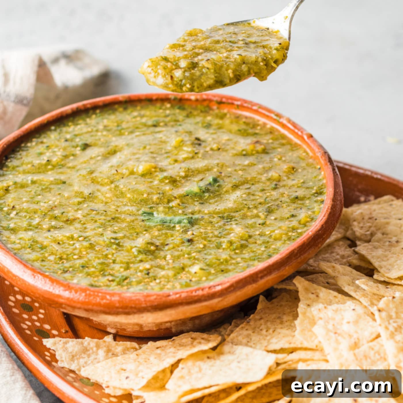 Green Salsa 1 featured 49489