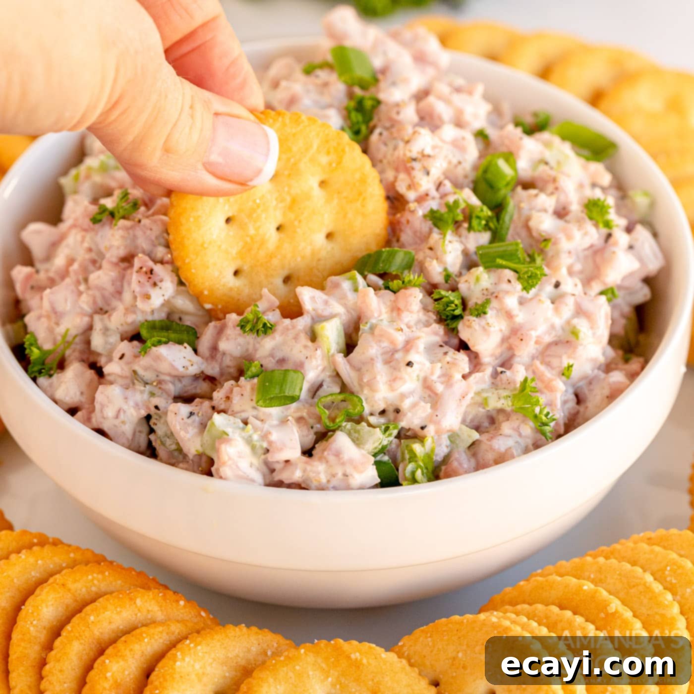 Classic Deli Ham Salad 1 featured 51626