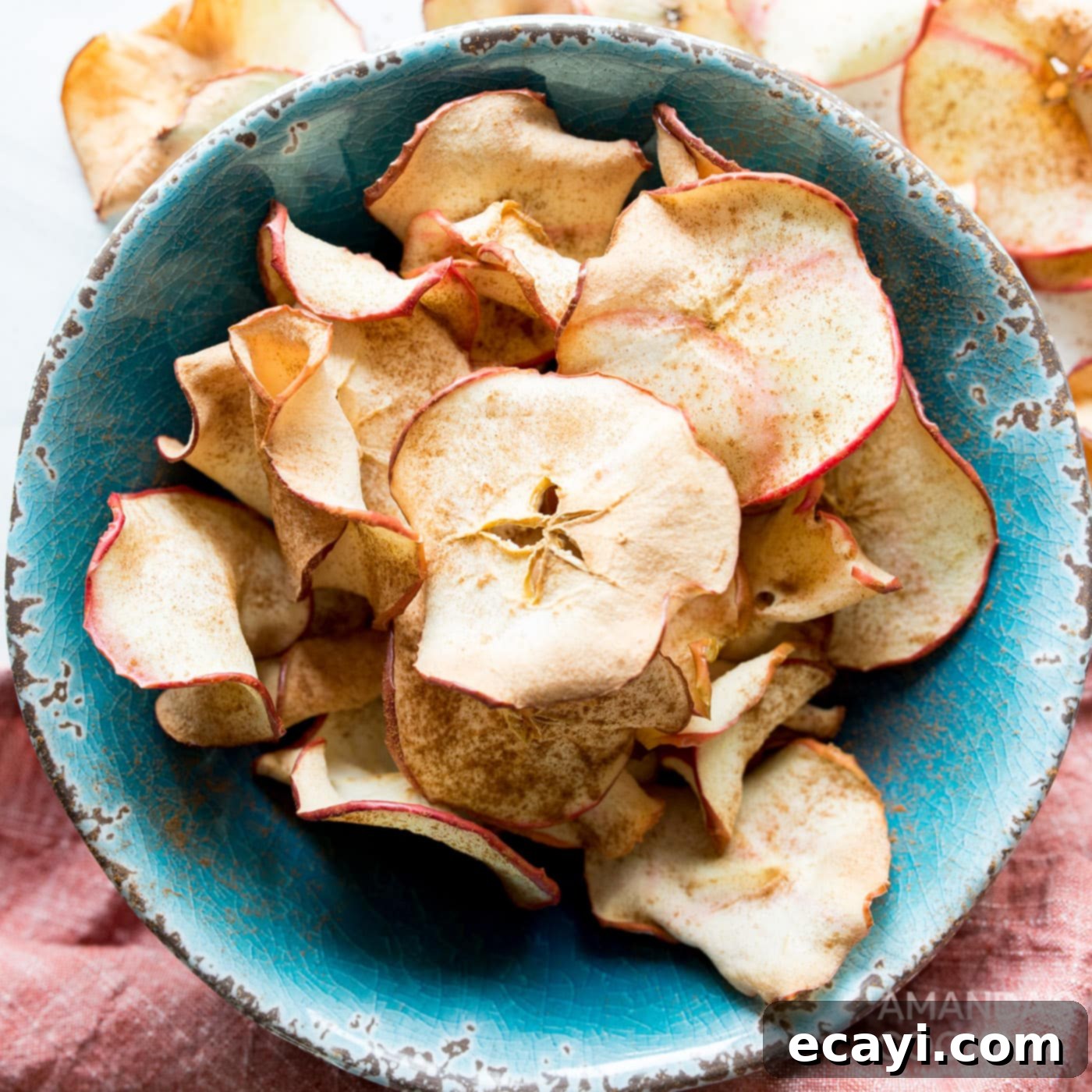 Crispy Air-Fried Apple Slices 1 featured 53565