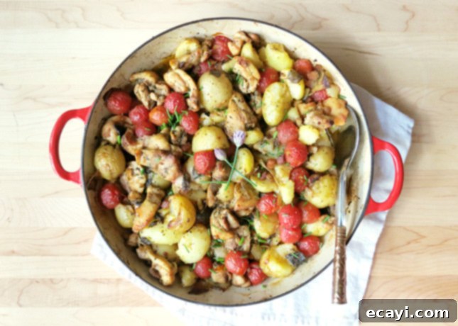 Harvest Chicken & Root Medley 1 featured 5572