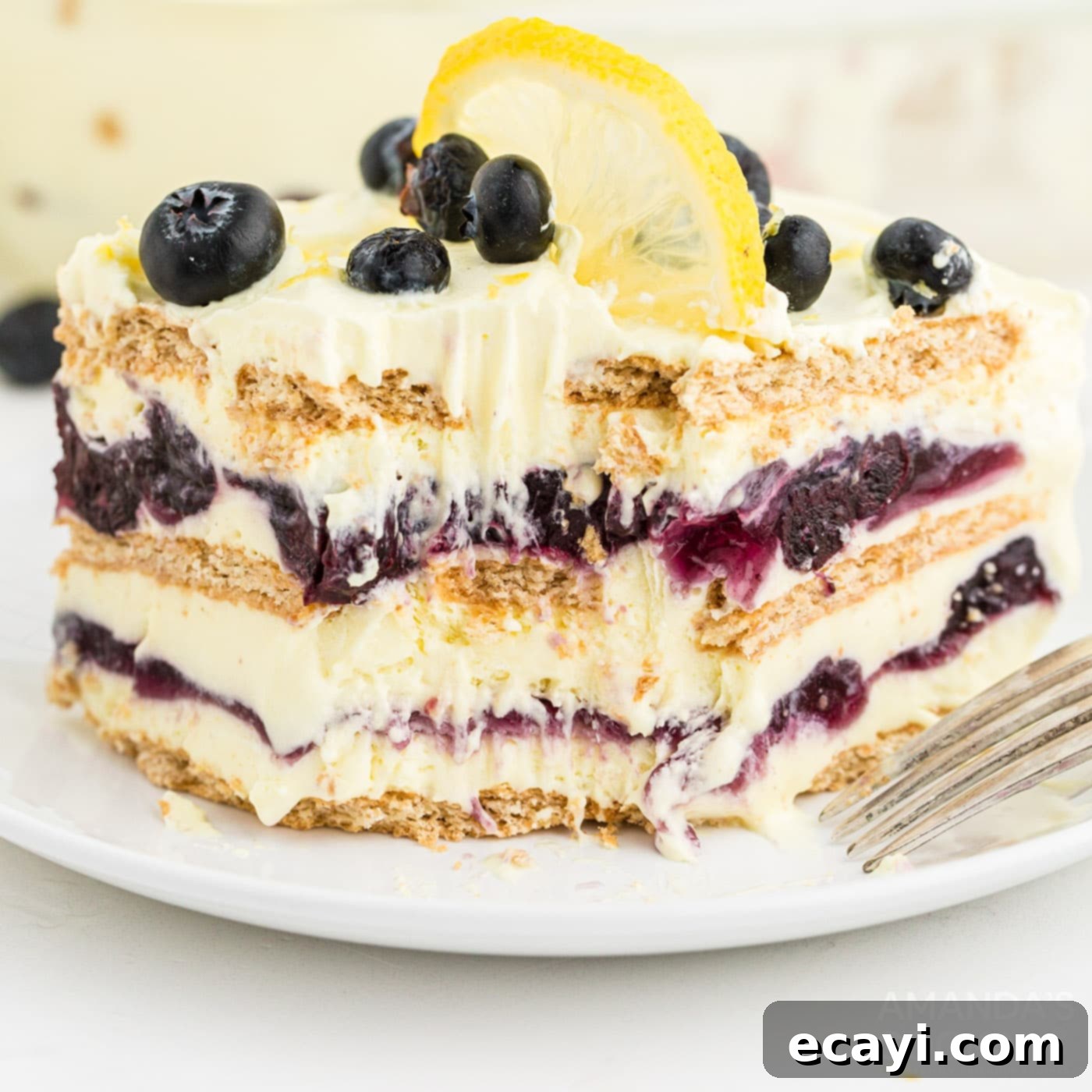 Zesty Lemon Blueberry Cloud Cake 1 featured 55809