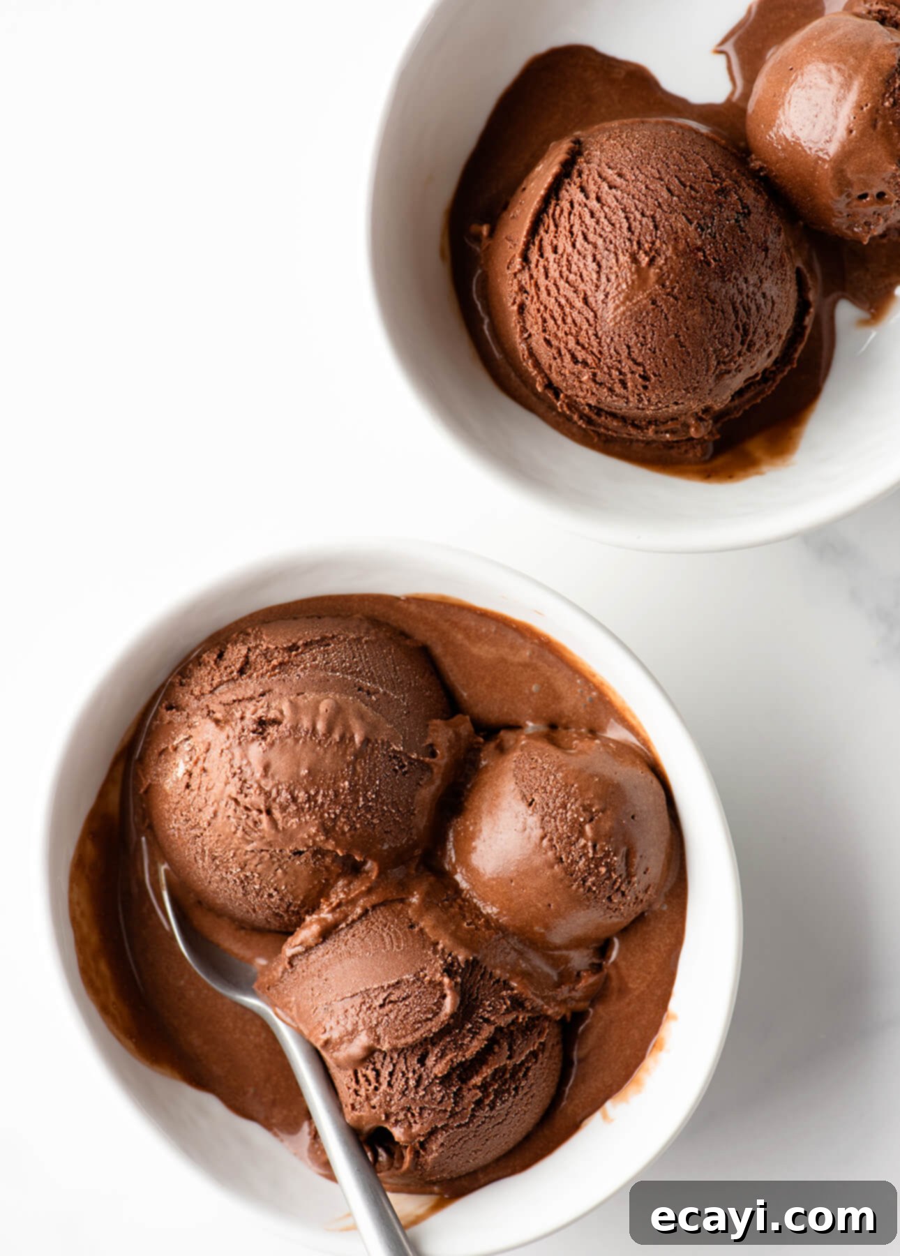Vegan Friendly Dark Chocolate Gelato 1 featured 5606