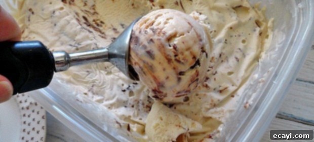 Decadent Nutella Swirl Cheesecake Ice Cream 1 featured 5676