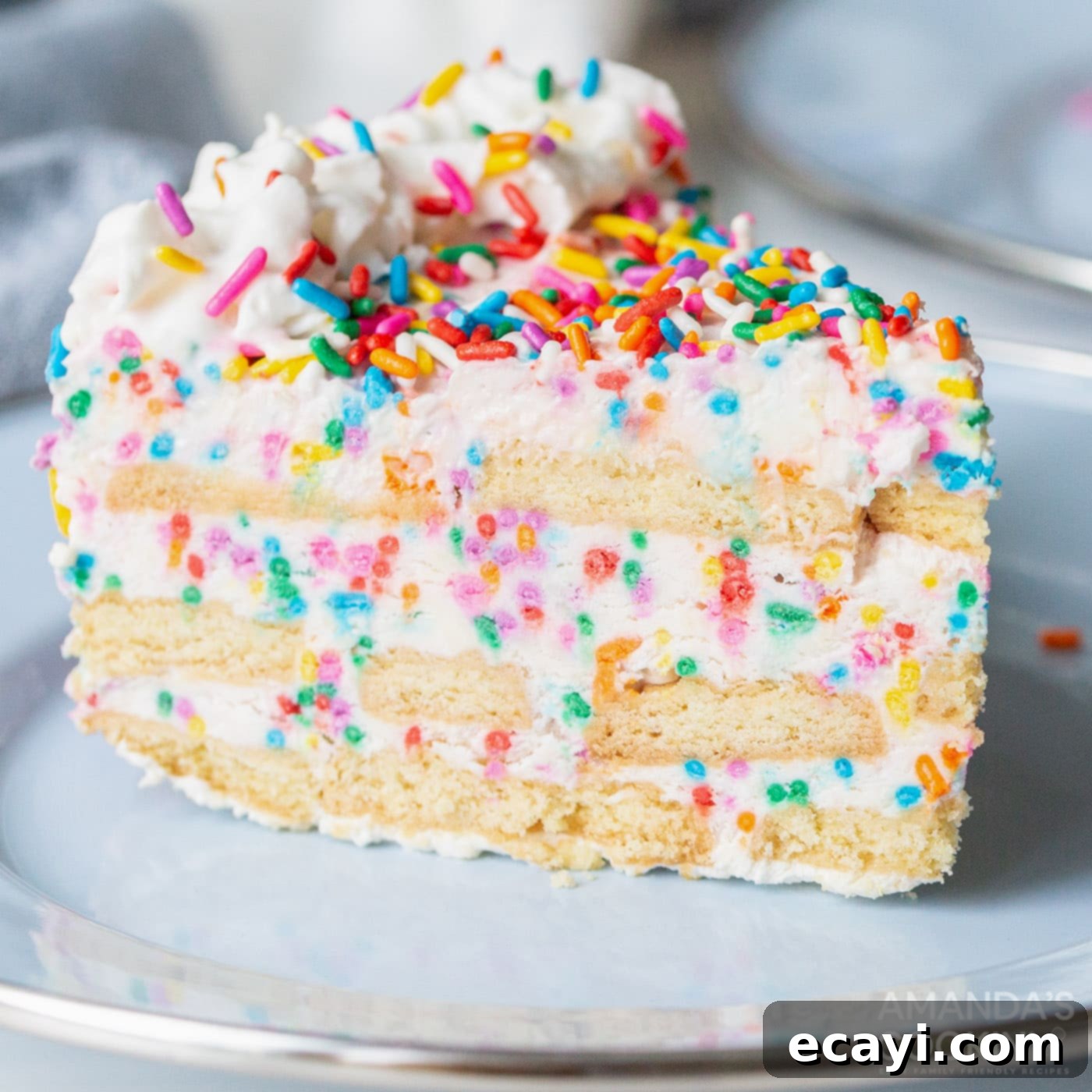 Celebration Confetti Chiller 1 featured 58279