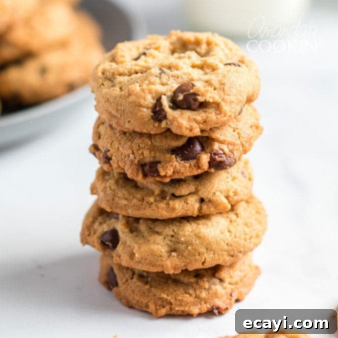 Nutty Oat Chocolate Chip Cookie Bliss 1 featured 5869
