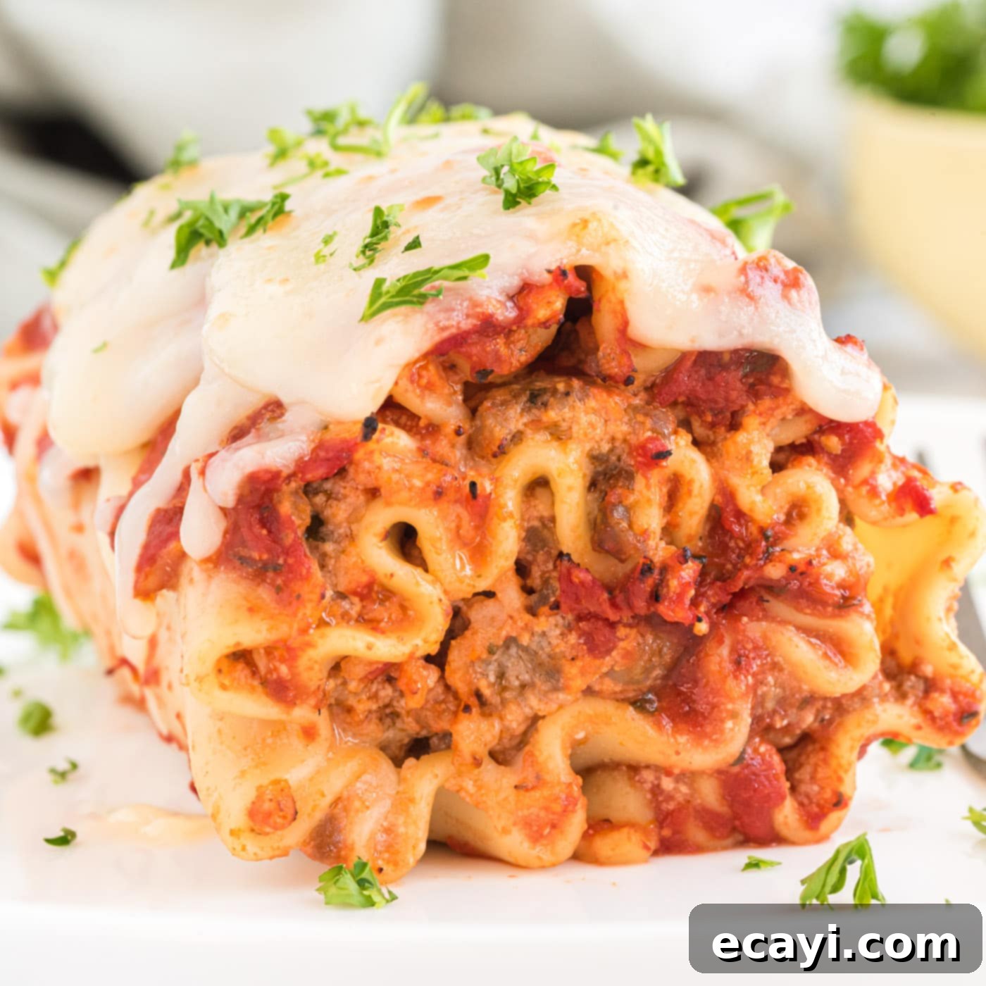 Lasagna Pinwheels 1 featured 5902