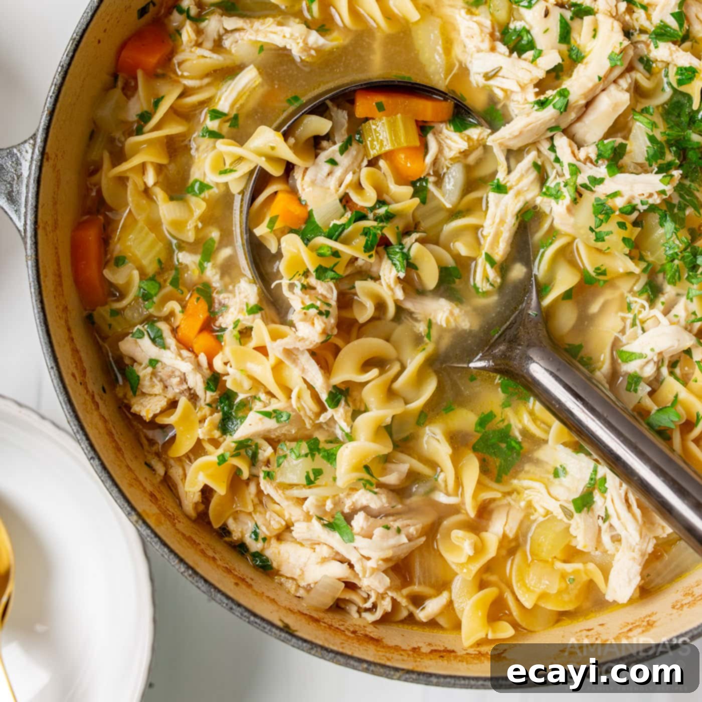Golden Chicken Noodle Comfort 1 featured 61017