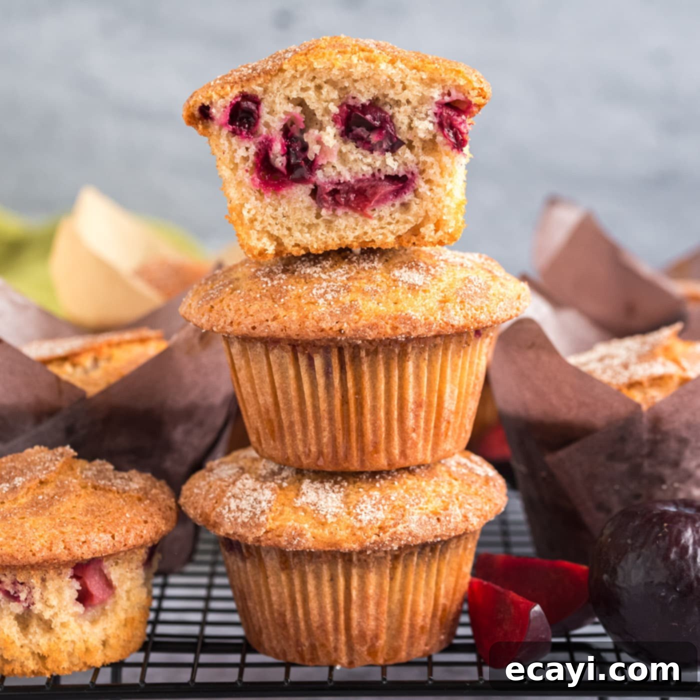 Sparkling Sugar Plum Muffins 1 featured 6113
