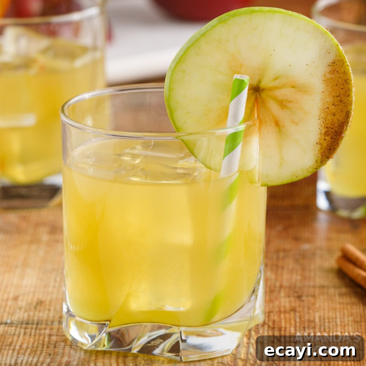 Harvest Spice Apple Elixir 1 featured 61870