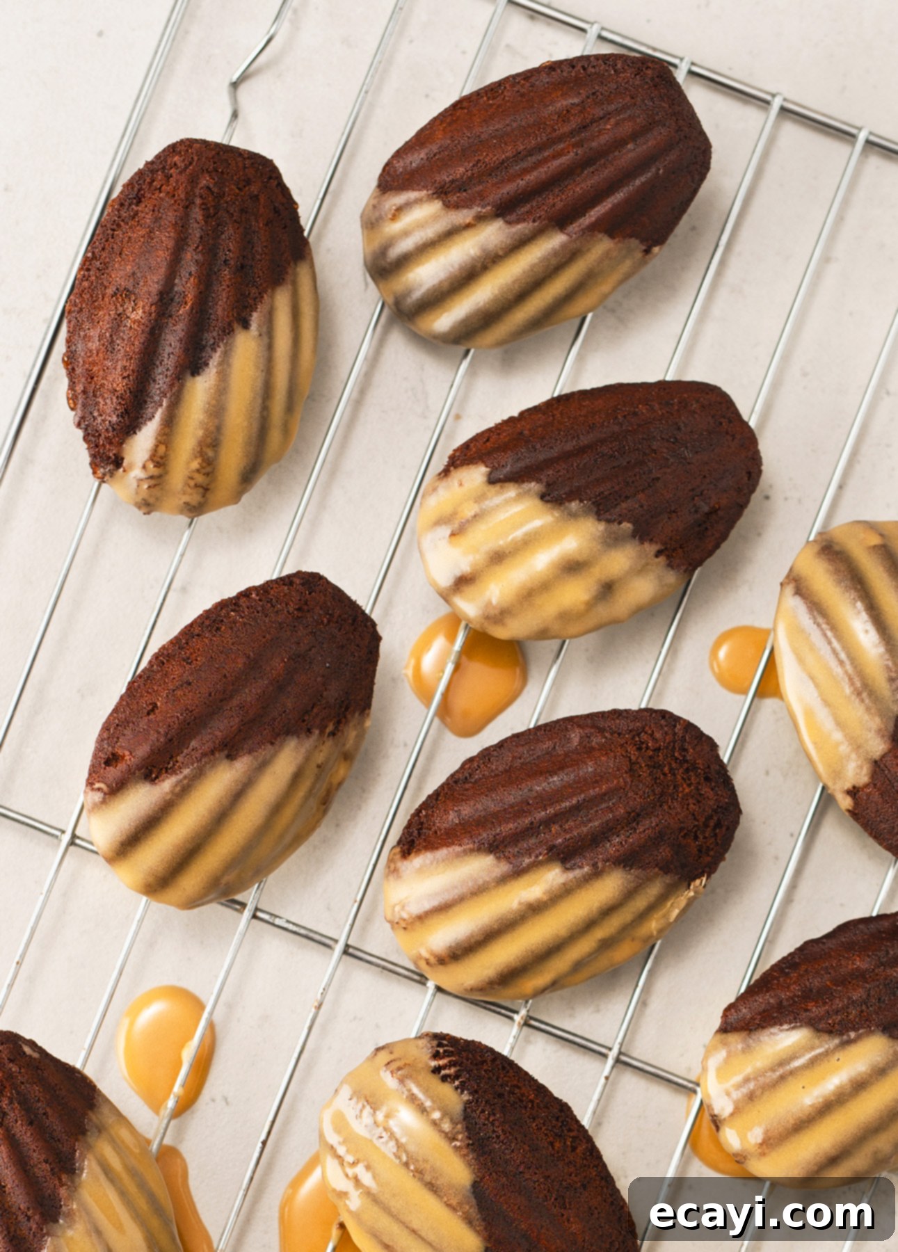 Decadent Mocha Madeleines with Espresso Drizzle 29 featured 6315