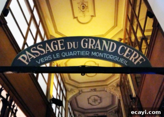 Uncovering Paris's Secret Charm: Passage du Grand Cerf 1 featured 6381