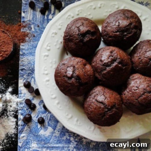 Cozy Cocoa Chocolate Chip Muffins 1 featured 6660