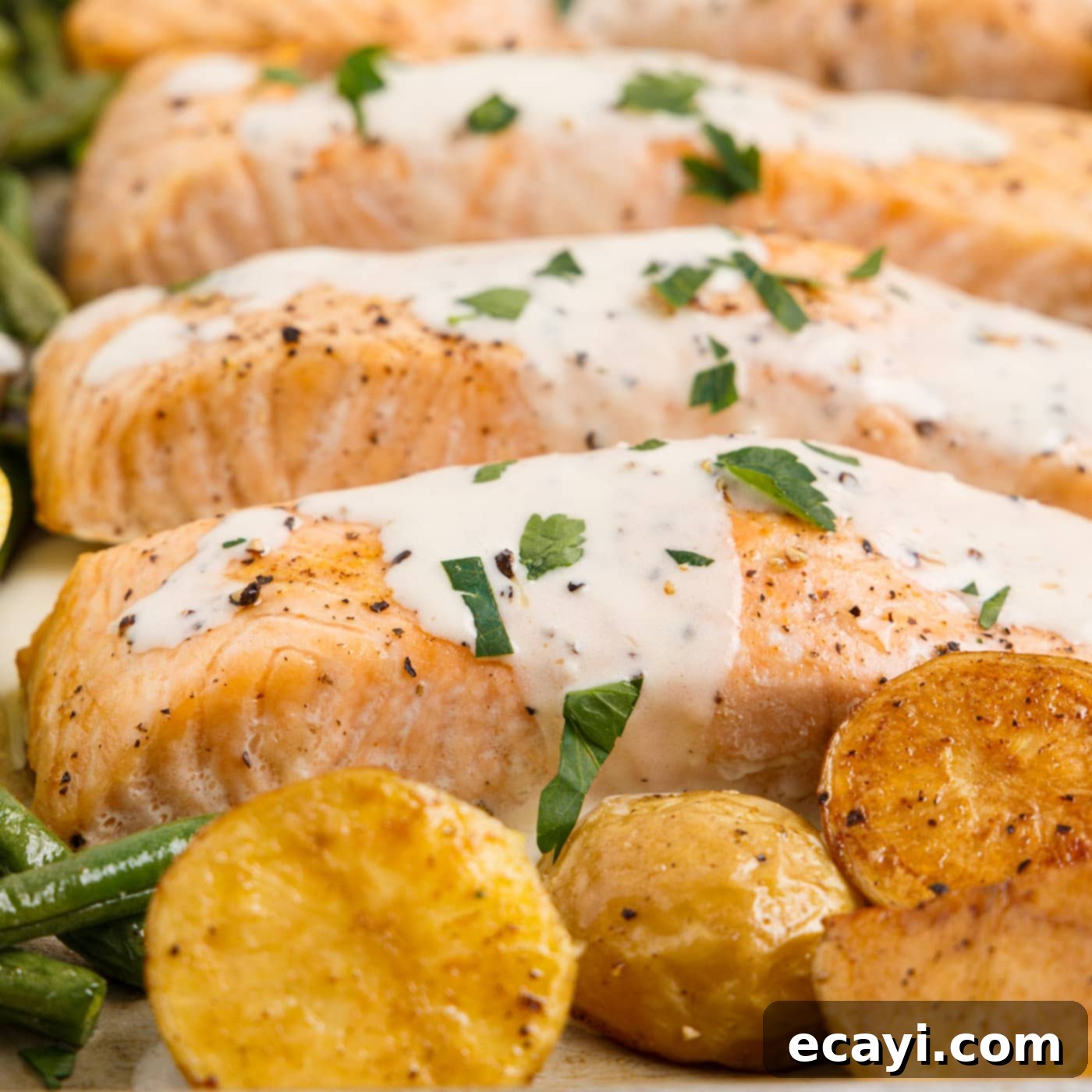 Oven Roasted Salmon Perfection 1 featured 67280