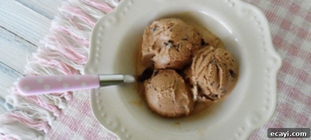 Coffee-Infused Chocolate Chip Dream 1 featured 6772