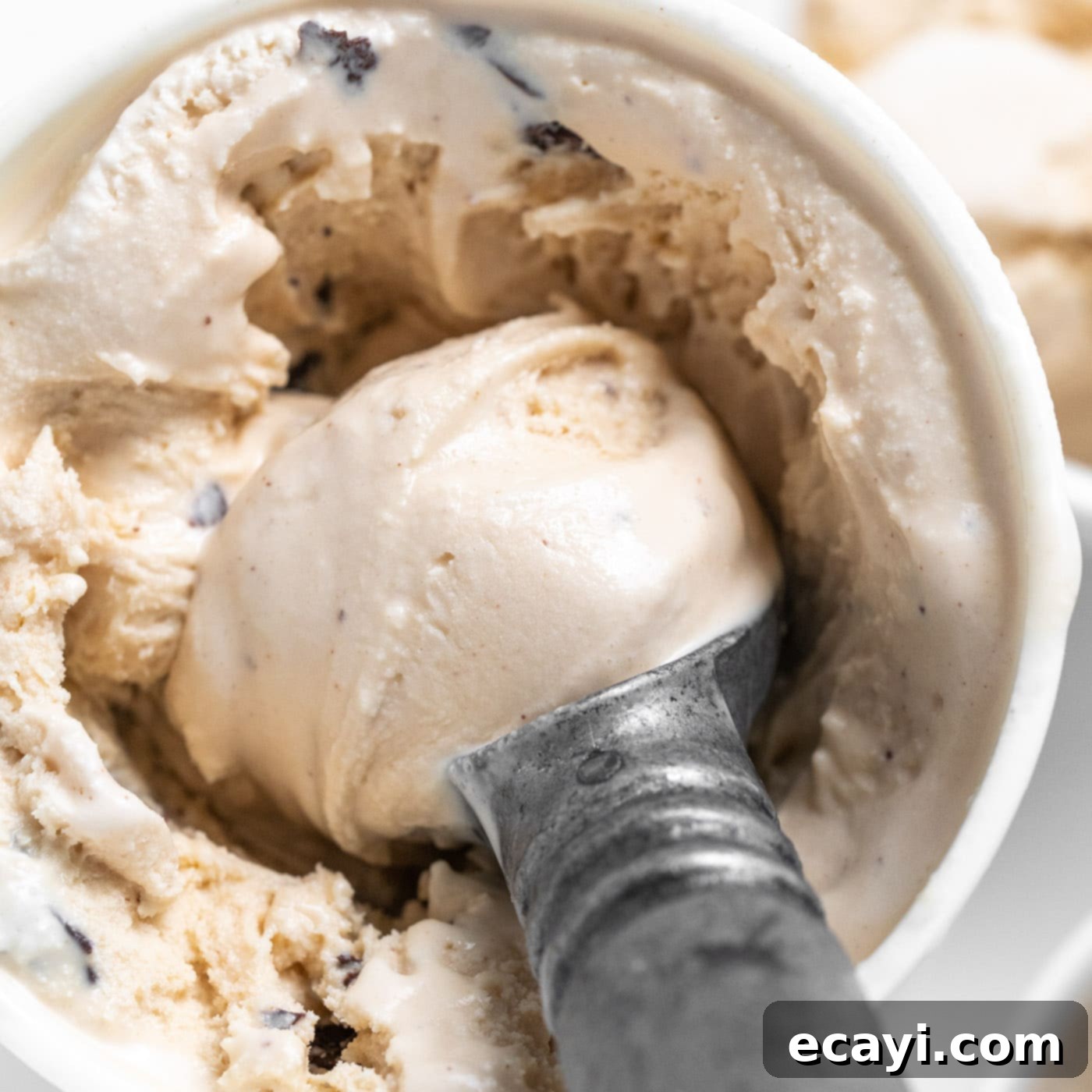Peanut Butter Chocolate Chip Dream 1 featured 68470